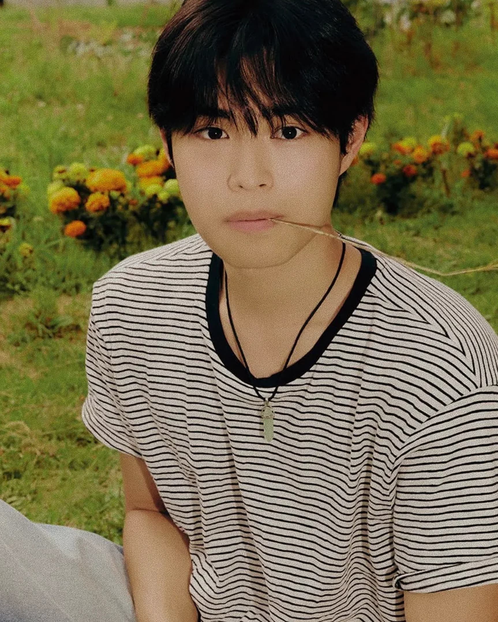 섬나라 소년, 학교를 세우다